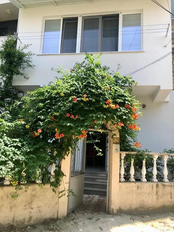 Mjolly Apartment Tirana
